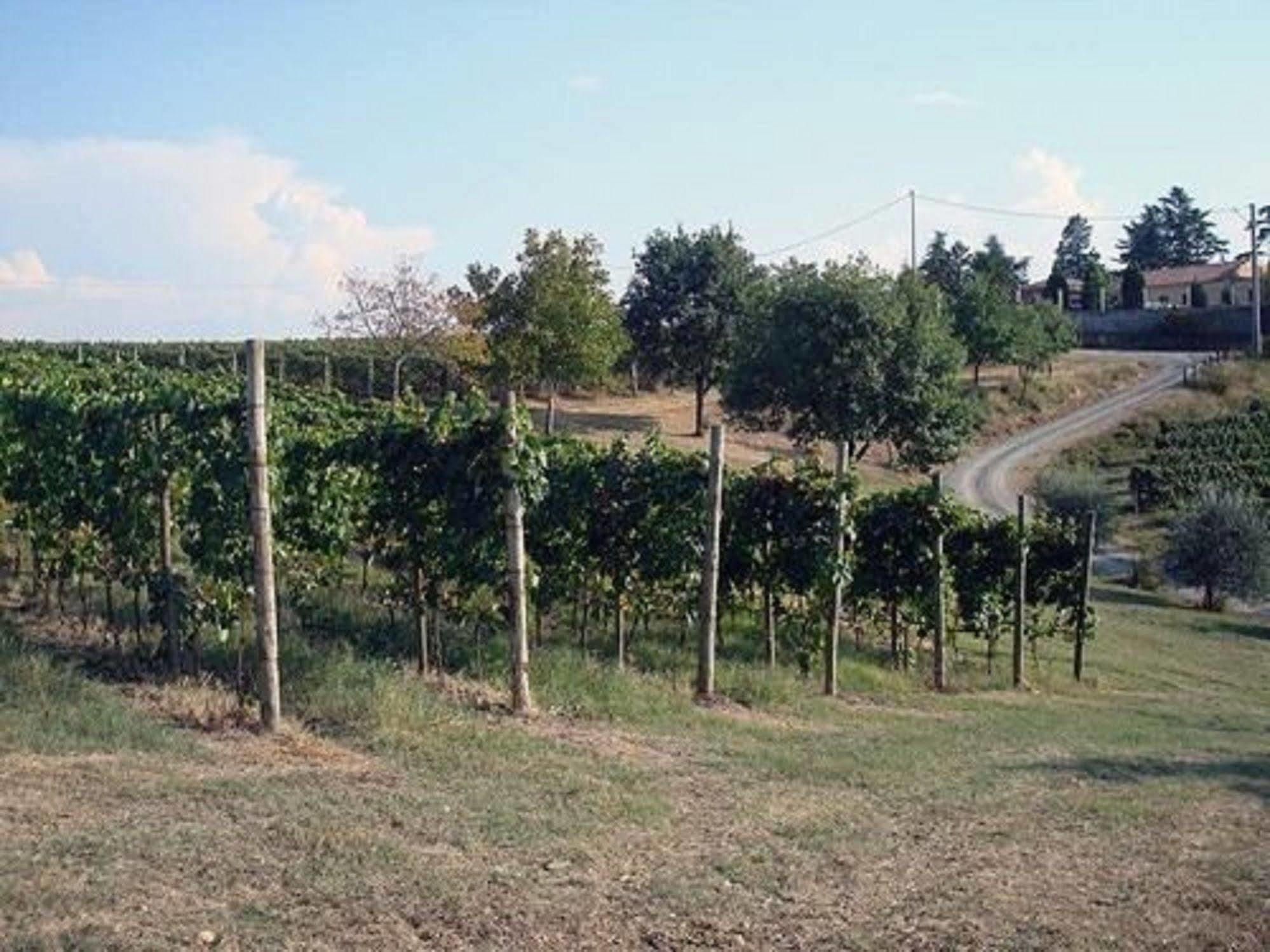 Agriturismo Costa Dei Platani Acqui Terme Exterior photo