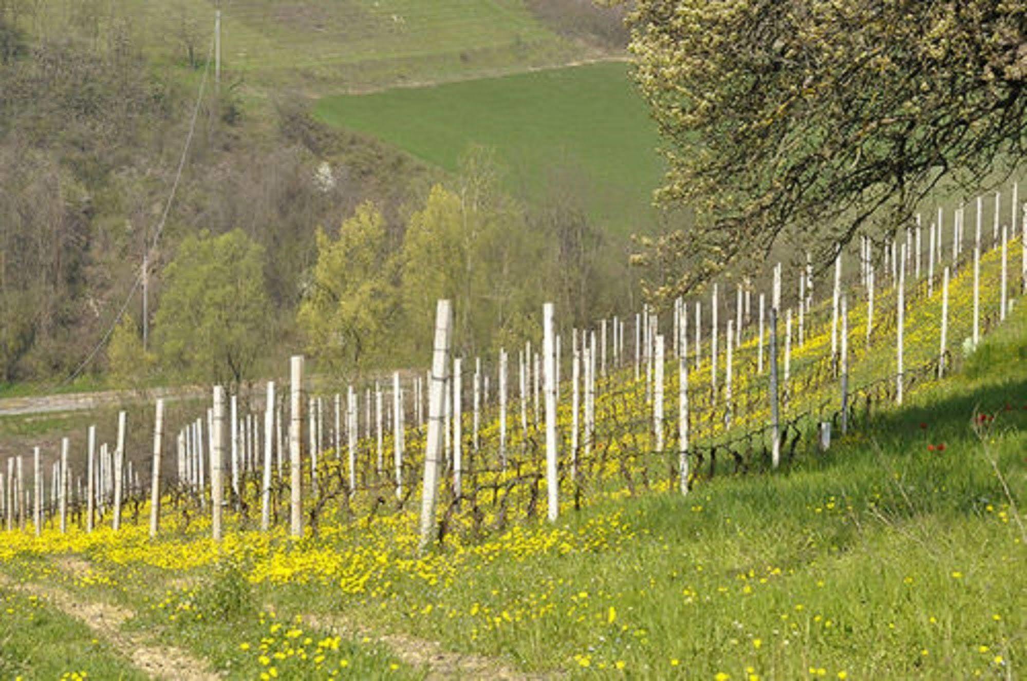 Agriturismo Costa Dei Platani Acqui Terme Exterior photo